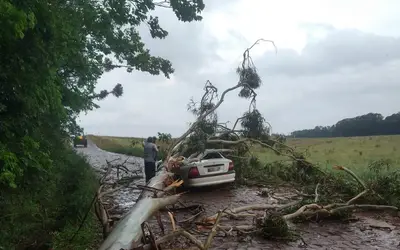 Tempestade chega a SC e deixa 1 morto e danos em mais de 30 municípios